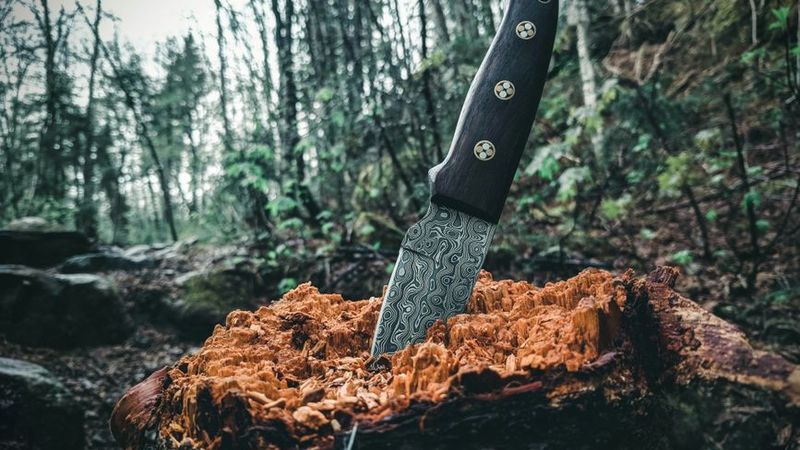 Fixed-blade knife in weathered wood in a dark forest