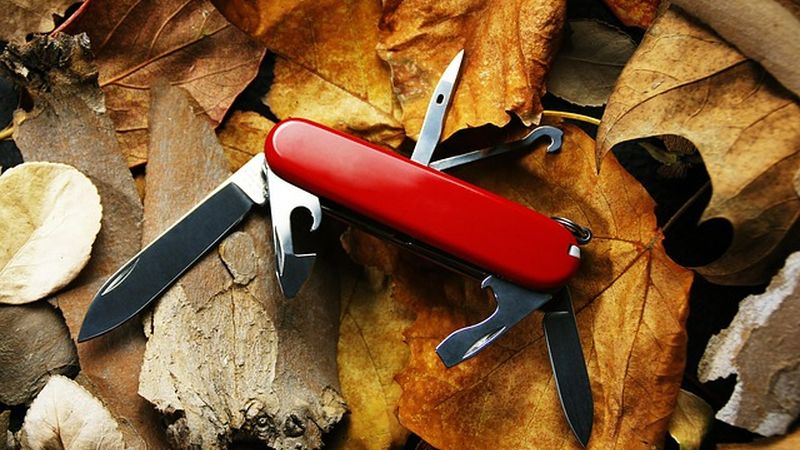 Swiss Army knife open on autumn leaves